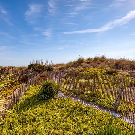 Les Pieds Dans L'eau * Marseillan
