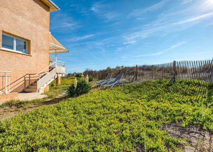 Les Pieds Dans L'eau Marseillan (Herault)
